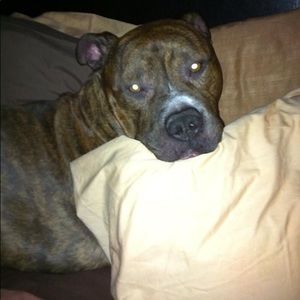 Meet your Posher, Nicholas